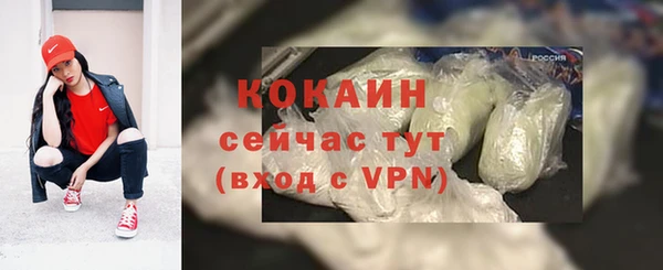 спайс Алексин