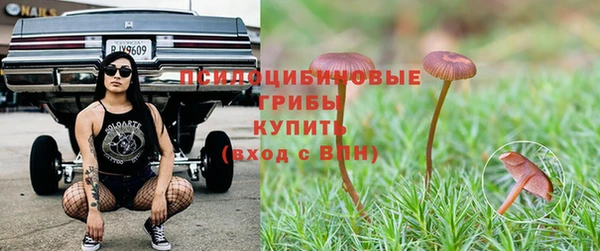 спайс Алексин