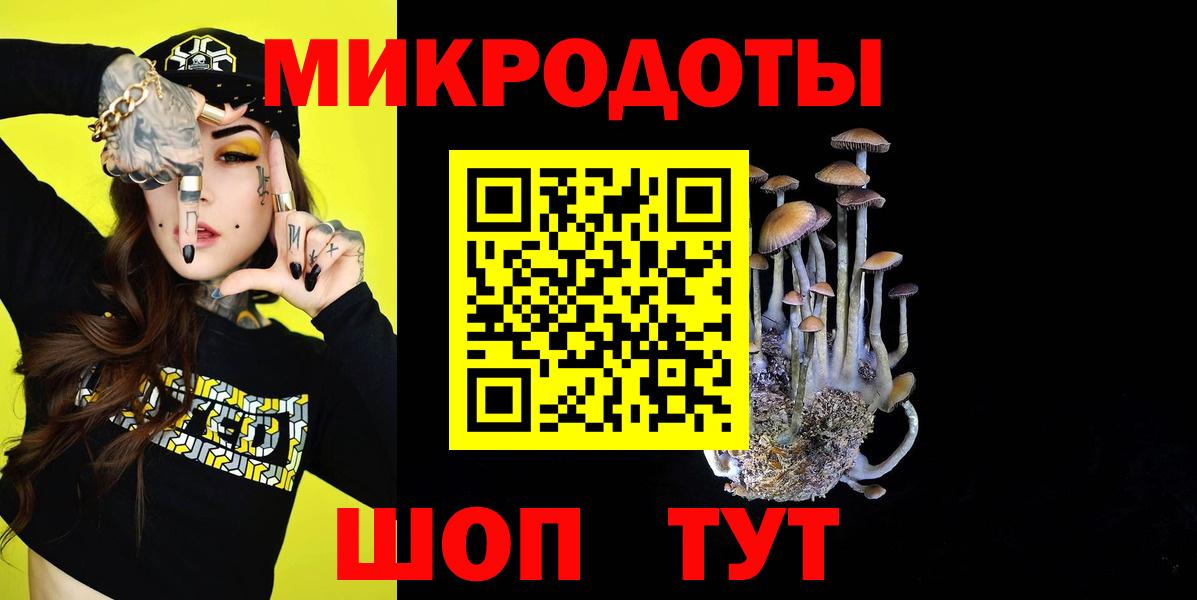 Первоуральск  Псилоцибиновые грибы Psilocybine cubensis  Псилоцибиновые грибы мицелий  Вход с VPN 